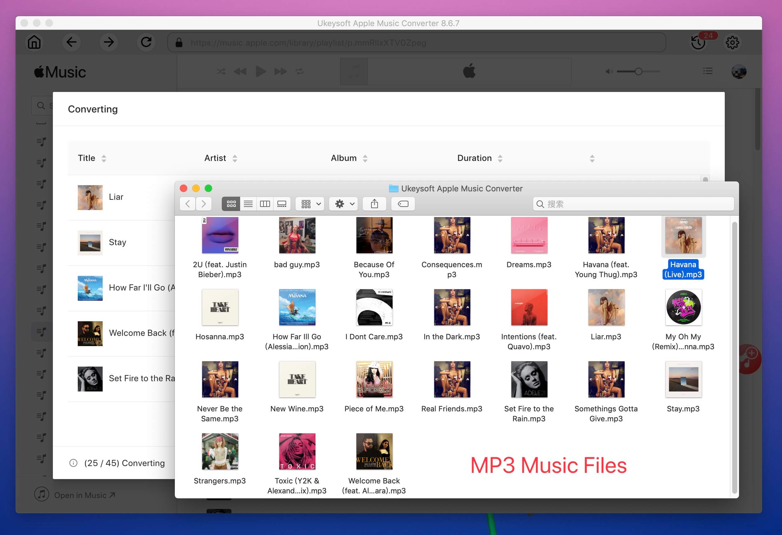 apple music playlist MP3 files