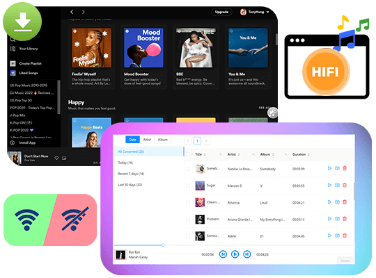 Spotify music player