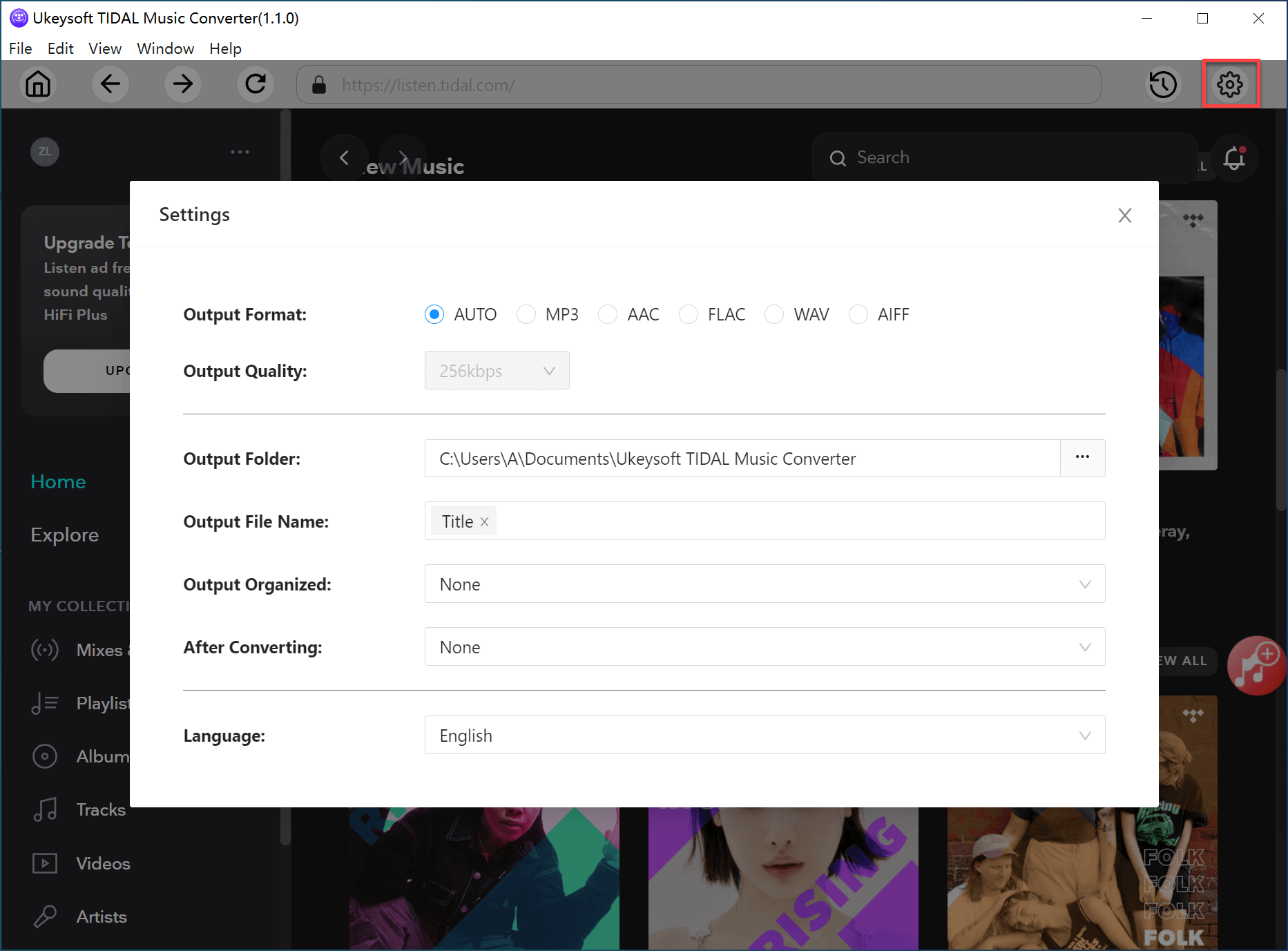 tidal music output format