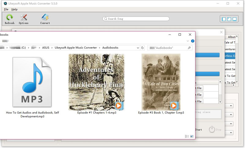 view audiobooks mp3 format