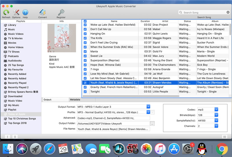 select apple music tracks to convert