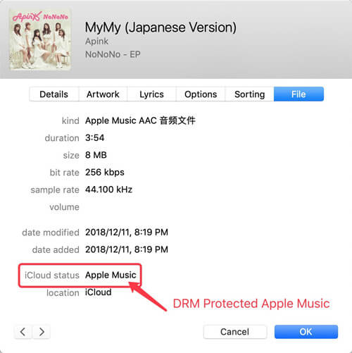 drm protected apple music cannot be converted by iTunes