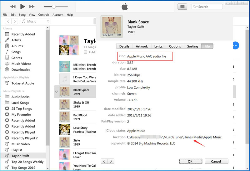 Apple Music AAC audio file