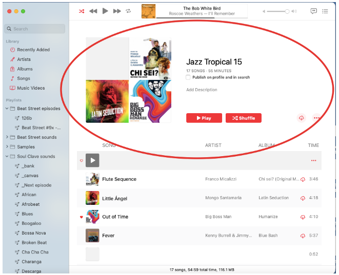 download playlist in Apple Music on Mac