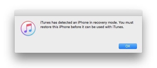 delete apple id with itunes restore