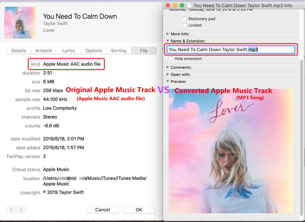 apple music aac file vs converted songs
