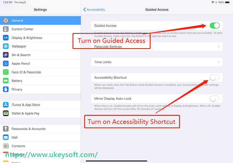 turn on guide access