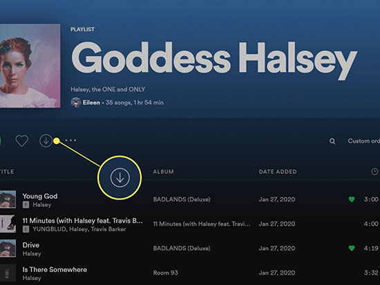 spotify oflfine mode for mac