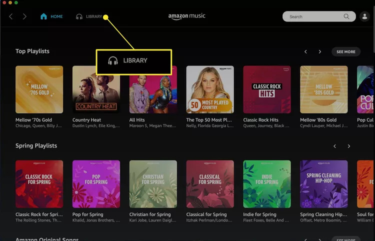 access amazon music library