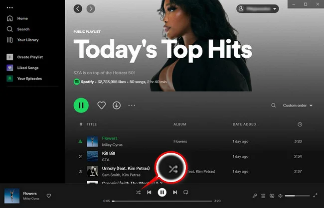 enable Spotify Smart Shuffle on desktop