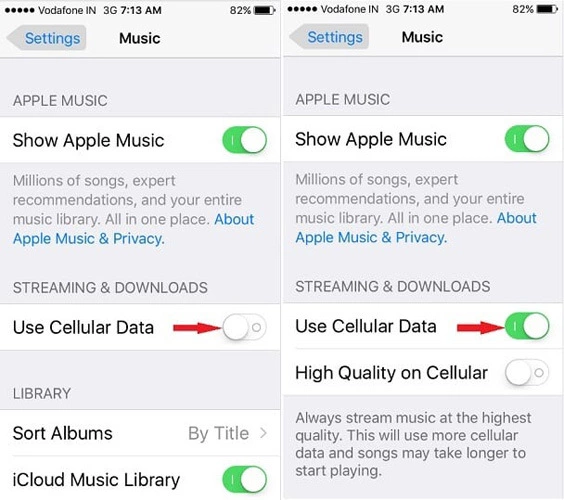 enable mobile data on apple music