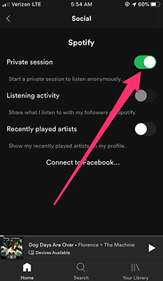 turn on spotify private session