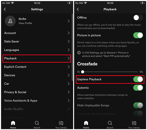 enable Gapless Playback on Spotify