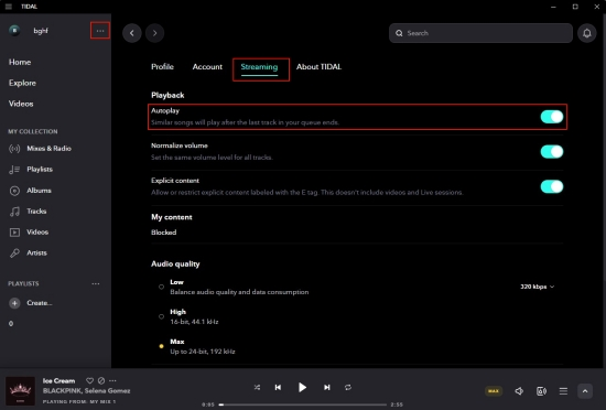 turn off tidal autoplay on desktop