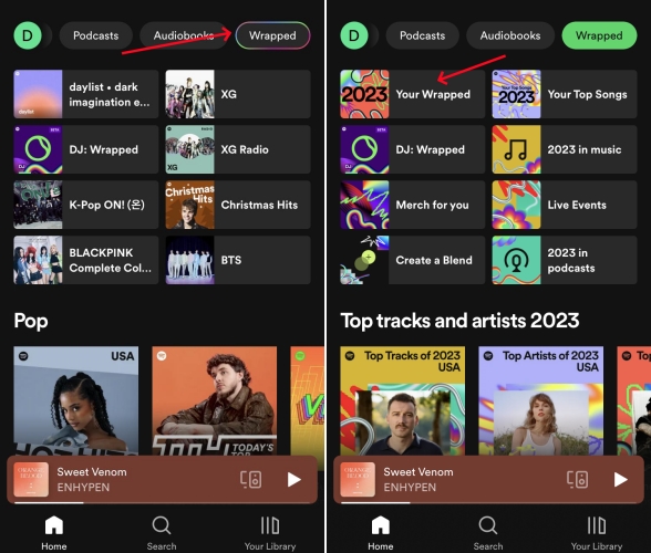 view spotify wrapped on mobile