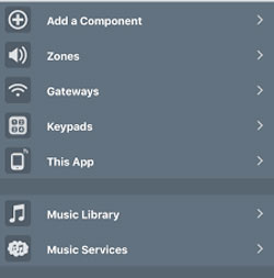 add service on nuvo player app